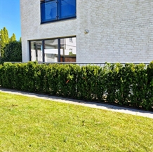 NemHæk Taks 1m 150cm